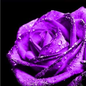 Must empty closet Chanel leatherr flats, Louboutin blk leather So Kate heels